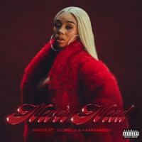 Anycia, GloRilla & KARRAHBOOO, GloRilla , KARRAHBOOO - Never Need