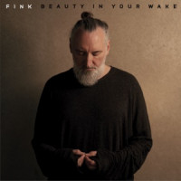 Fink - What Would You Call Yourself