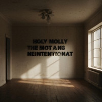 Holy Molly & The Motans - Neintenționat
